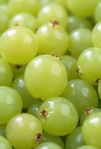 Färska gröna och röda krusbär skivade, med blad på träyta